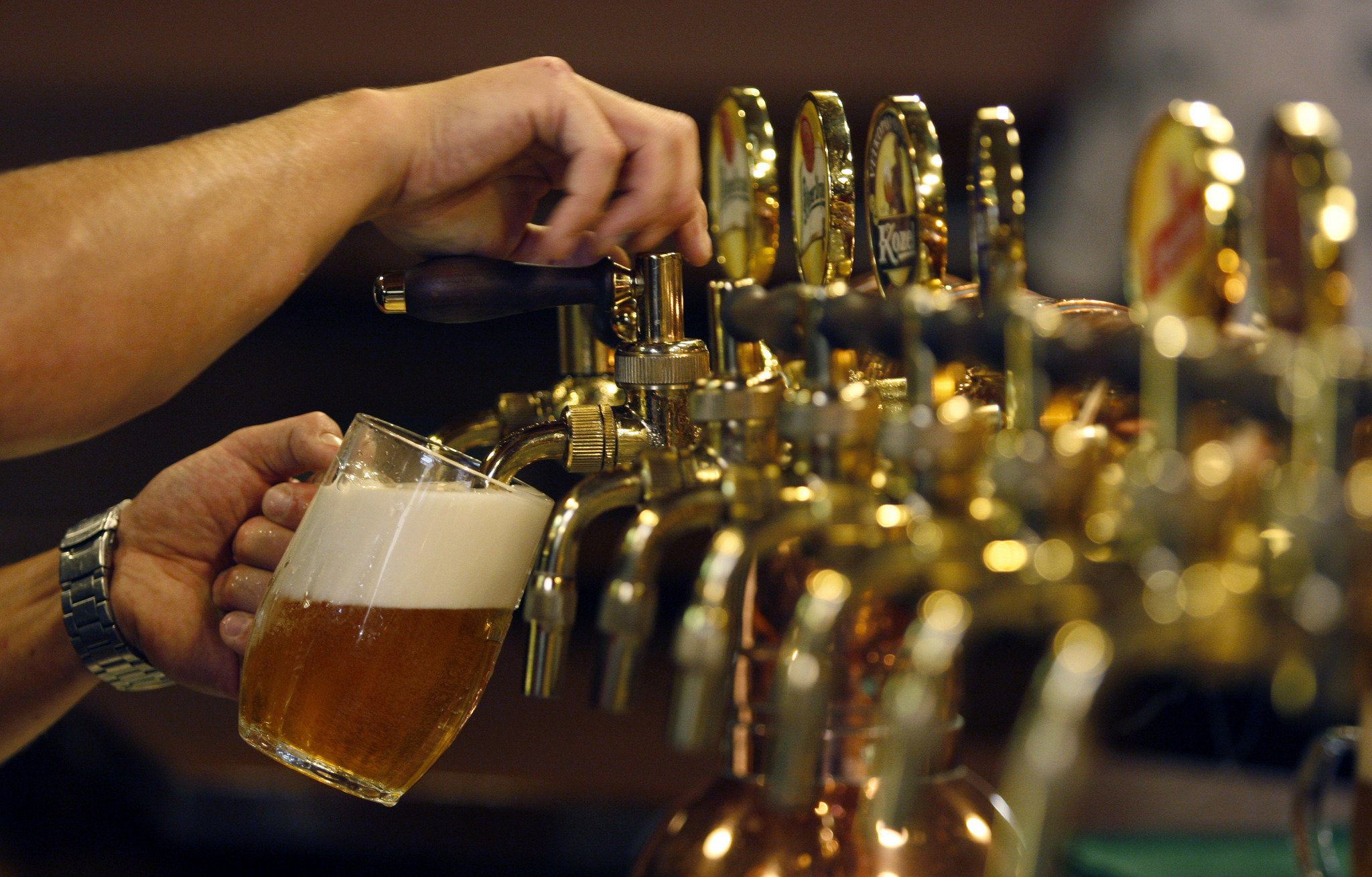Foto: Cortesía Cerveceros morelenses plantean la creación de la ‘Ruta de la Cerveza’ para detonar el turismo en la entidad