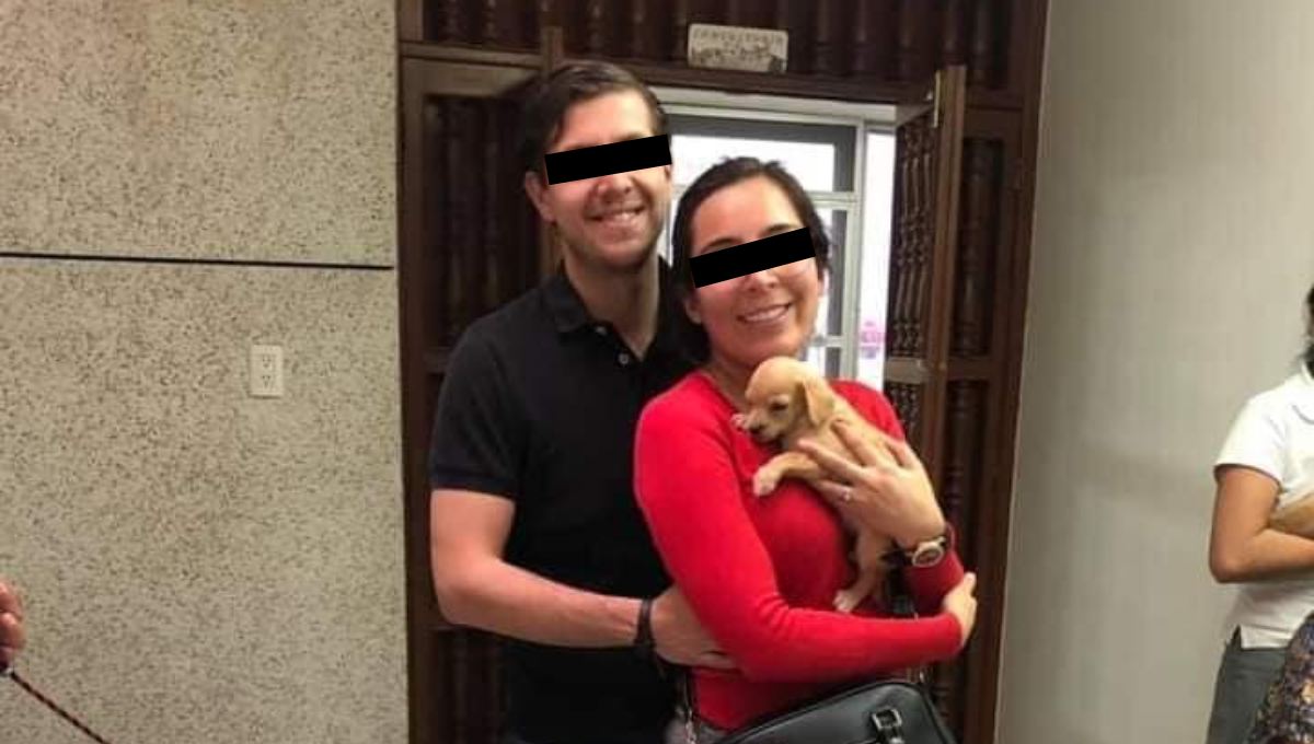 Foto: Cortesía Denuncian a pareja que adopta perros para alimentar a sus víboras