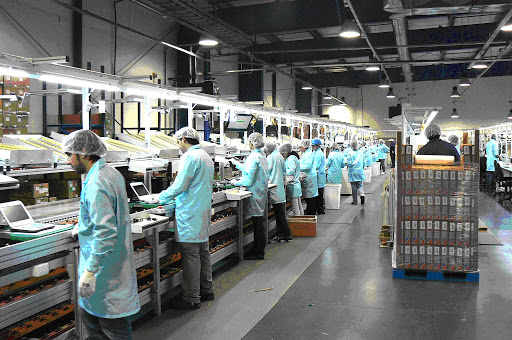 Foto: Cortesía México no aguantará un segundo cierre de actividades por rebrote de COVID-19, advierten industriales