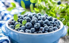 Foto: Cortesía Moras azules: Beneficios para la memoria y metabolismo