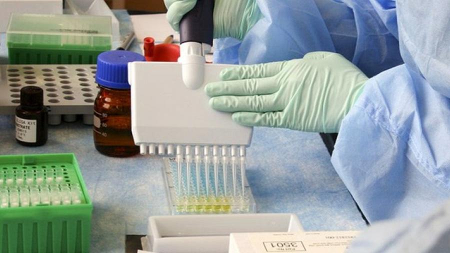 México tendrá acceso a 51.6 millones de dosis de vacuna contra COVID-19 por mecanismo Covax: Ebrard