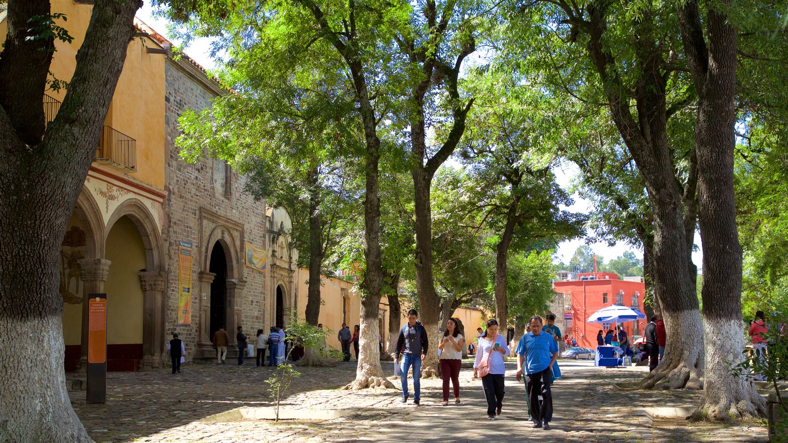 Reporta SESA 8 personas recuperadas, 4 fallecimientos y 12 casos positivos de Covid-19 en Tlaxcala