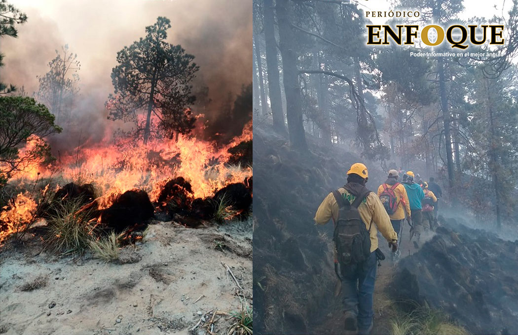 Por: Marisol O Brigadistas y Protección Civil de Acajete trabaja para sofocar incendio forestal en la Malinche