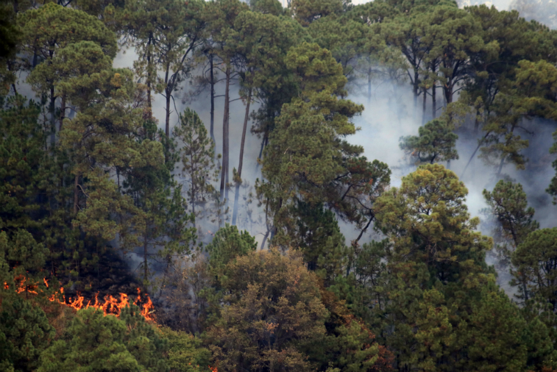 Por: Cortesía Reportan incendio forestal en sierra Gorda de Querétaro