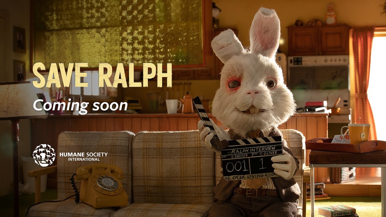 Por: Cortesía "Save Ralph", la campaña contra pruebas en animales que conmueve en redes sociales