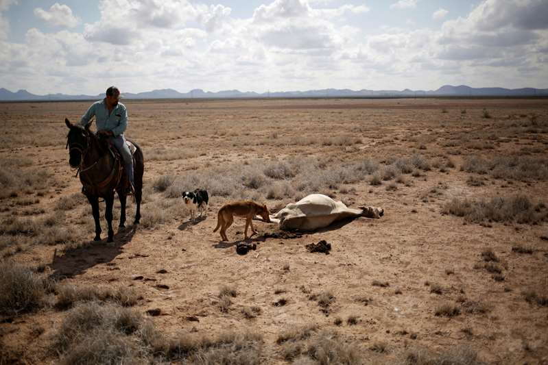 Por: Cortesía La sequía abarca el 83% del territorio de México