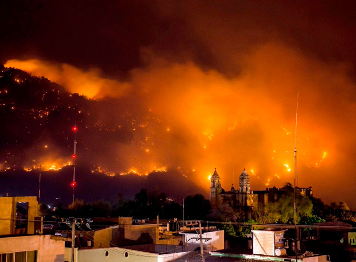 Por: Cortesía Incendio forestal en cerro del Tepozteco consume 50 hectáreas de bosque en Morelos