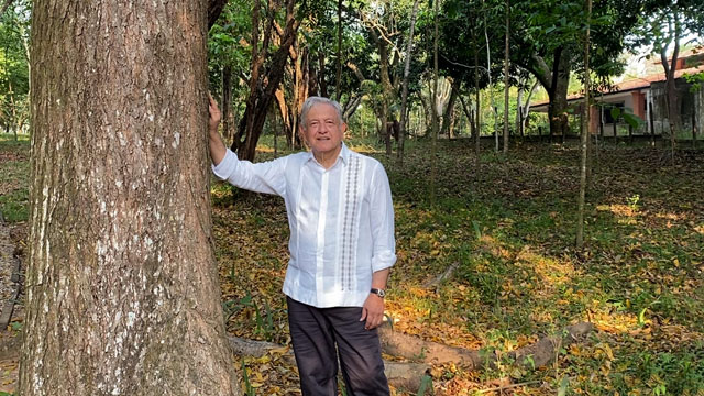 Por: Cortesía AMLO propondrá a Biden dar visas a campesinos del programa Sembrando Vida