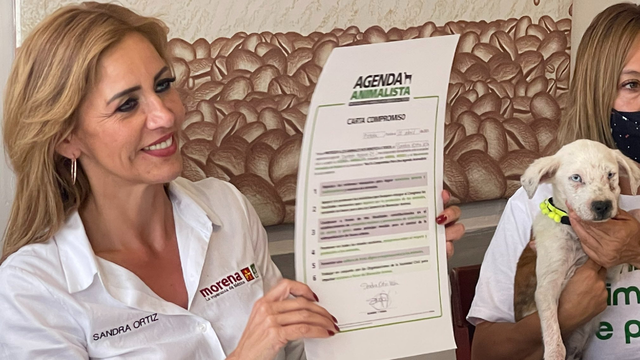 Por: Cortesía Candidata del Partido Verde dice comprometerse a promover reformas a favor del Bienestar Animal.