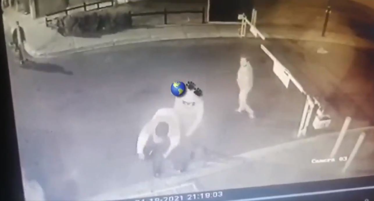 ¡Indignante! El terrible momento en que dos hombres apuñalaron 18 veces a Negro, un perro comunitario