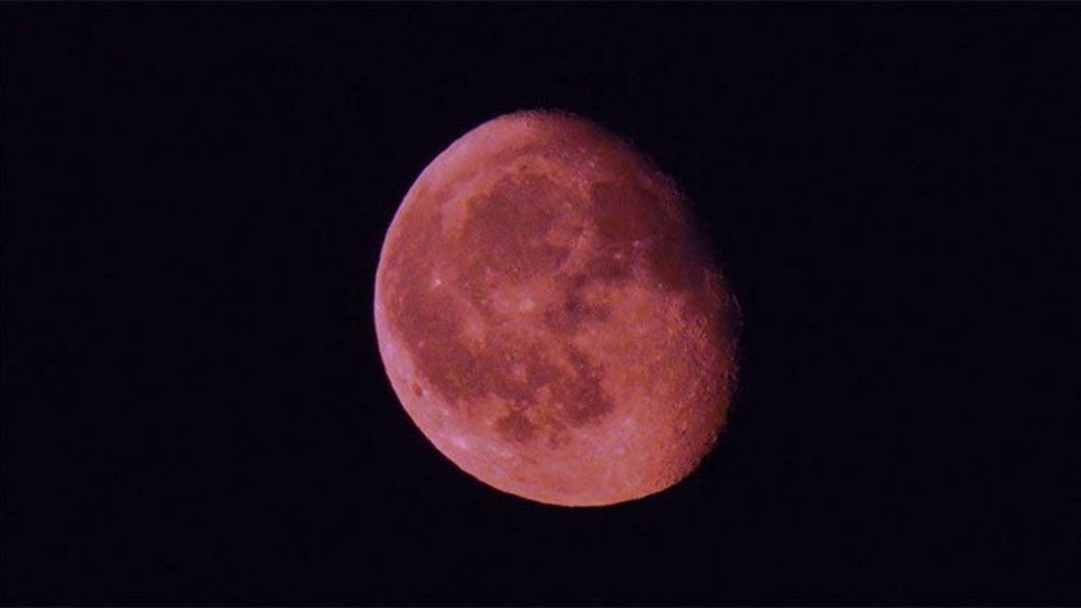 Por: Cortesía Así podrás ver la superluna rosa; uno de los fenómenos astronómicos más increíbles del año