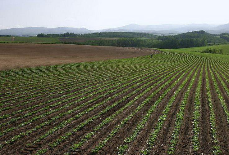 Por: Cortesía México, EU y Canadá colaboran sobre medio ambiente y cambio climático