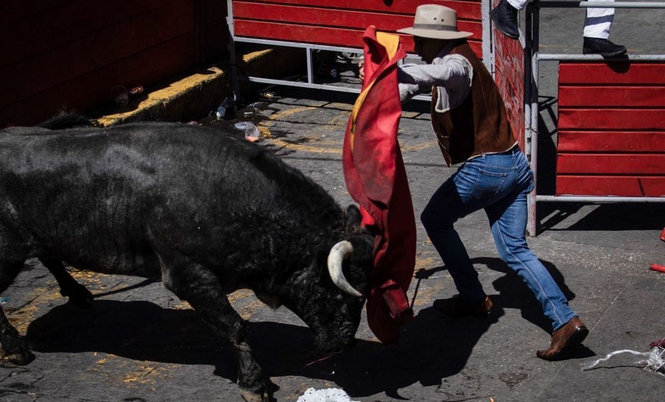 Por: Cortesía Toro salta y deja al menos10 heridos en Michoacán