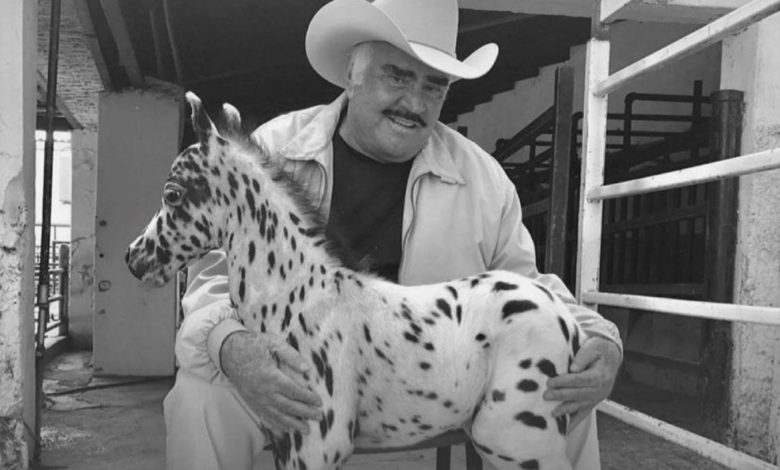 Por: Cortesía “Hay algo que no quiere decir la familia”: Vicente Fernández podría quedar en estado vegetativo;