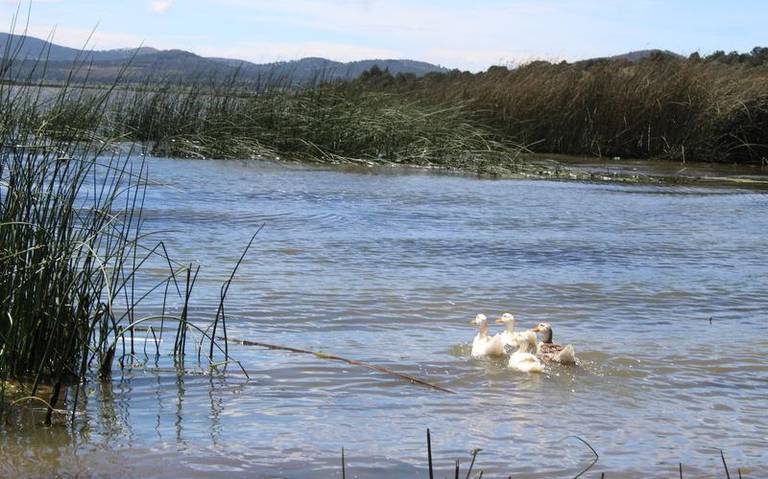 Por: Cortesía Presa de Atlangatepec puede secarse en 10 años.