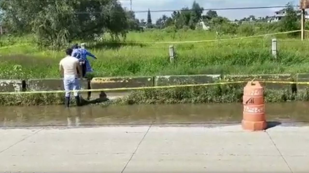 Por: Cortesía Encuentran en Coronango un cadáver desmembrado