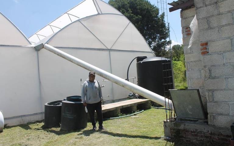 Por: Cortesía Productores utilizan el agua de la lluvia para sus hortalizas