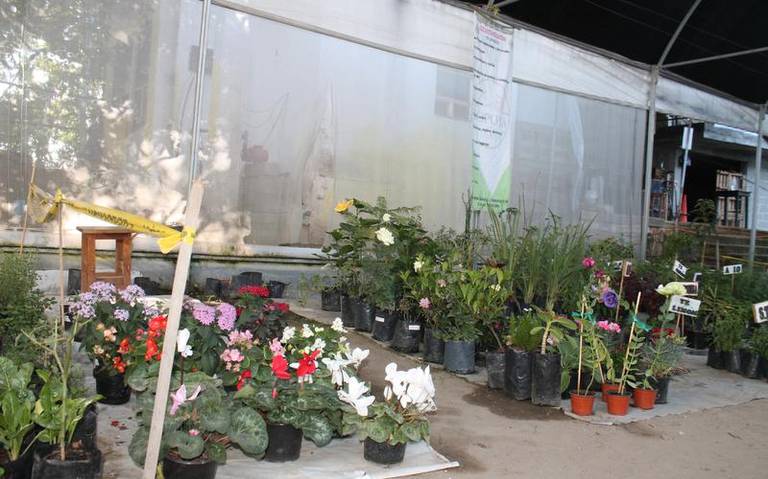 Por: Cortesía Mercado alternativo cumplirá un año de ser abierto