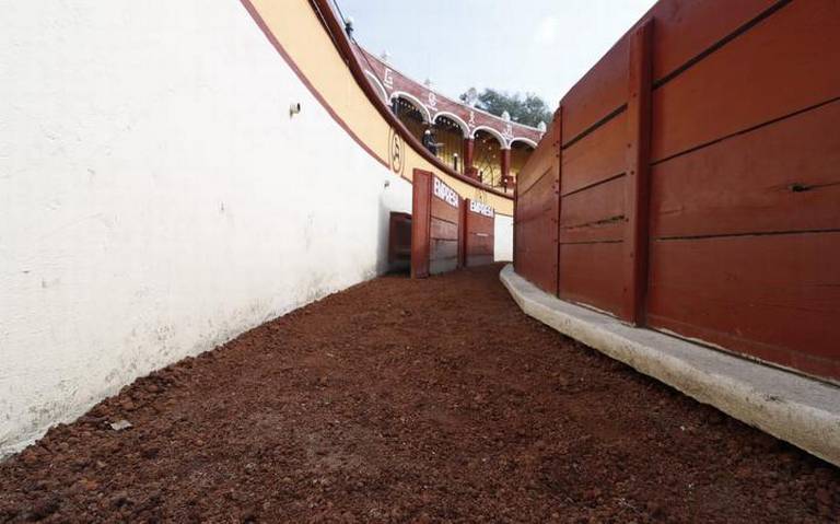 Por: Cortesía Próximo director del ITDT buscará impulsar la tauromaquia durante la pandemia