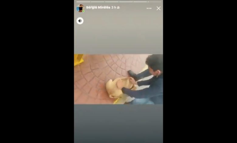 Por: Cortesía "Solo por diversión": Joven lanza a un perro al río crecido por el paso de “Grace" mientras se burla (Video)