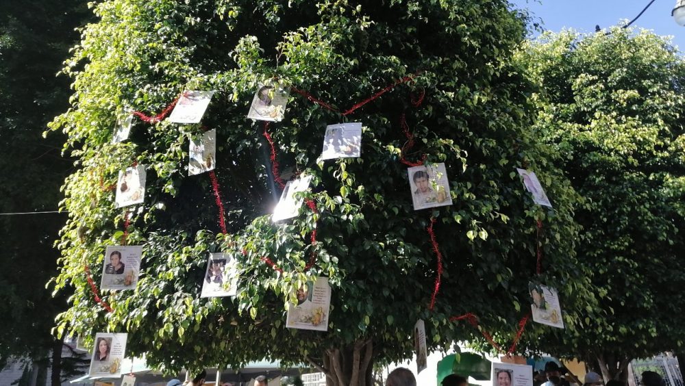 Con fotos de desaparecidos colectivos colocan Árbol de la Esperanza en el zócalo