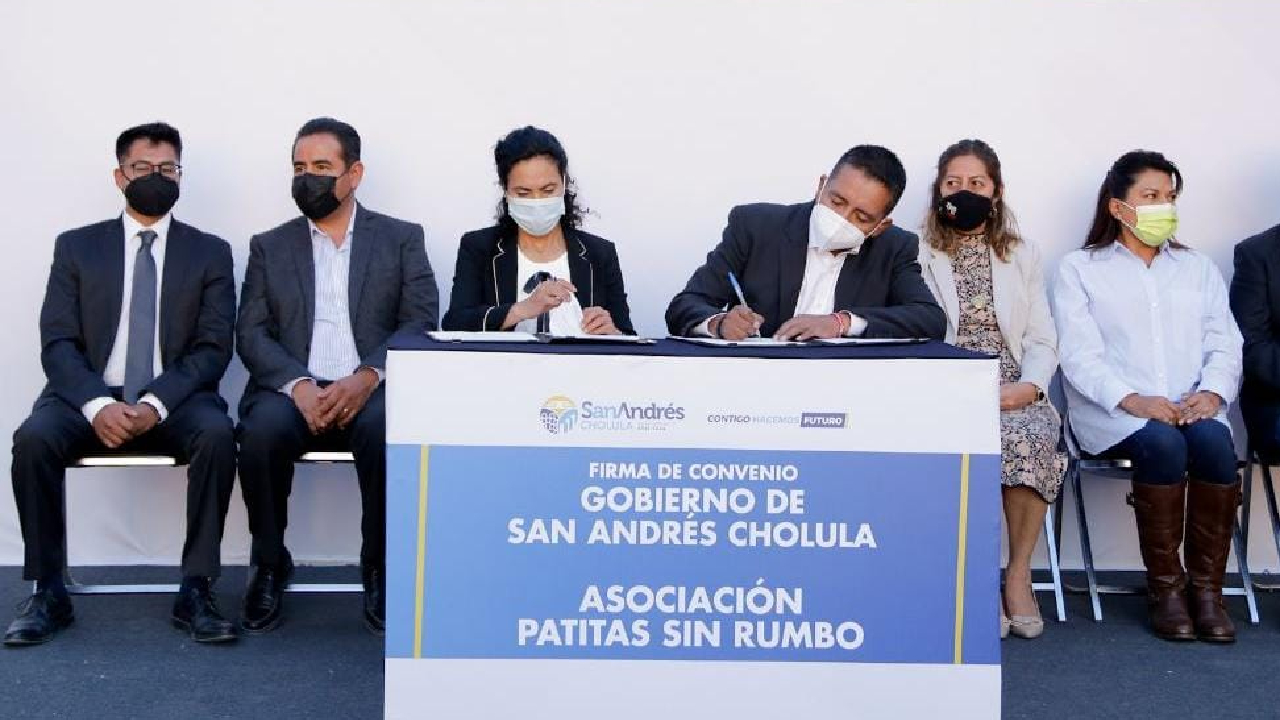Por: Cortesía Ayuntamiento de San Andrés Cholula firmó un convenio para la Jornada de Esterilización de perros y gatos