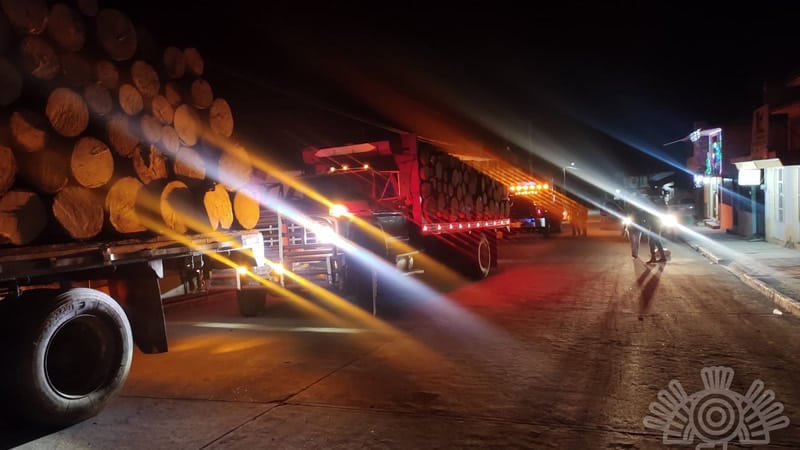 Policía Estatal detiene a 13  presuntos talamontes en el municipio de Xochiapulco 