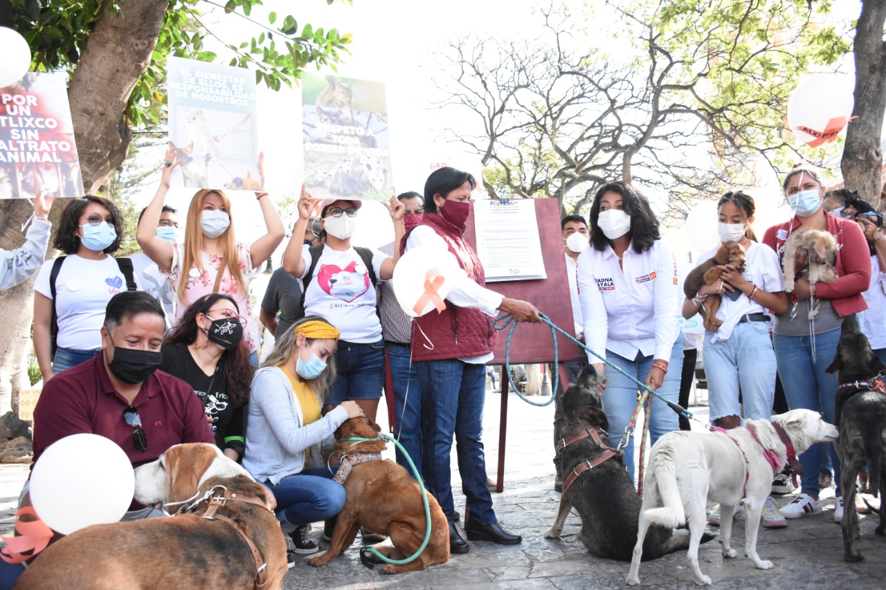 Por: Cortesía Ayuntamiento de Atlixco emprende acciones en favor del bienestar animal
