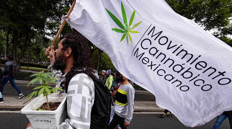 Por: Cortesía Senado pospone para 2022 discusión sobre Ley Federal para la Regulación de  Cannabis en México