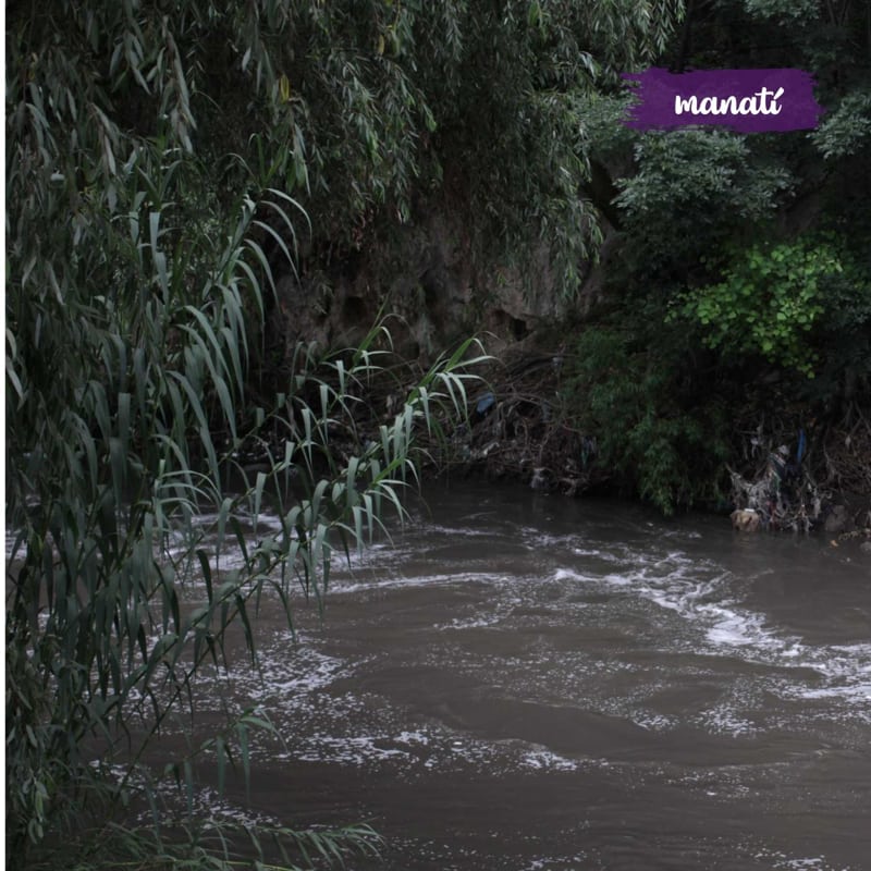 Por: Cortesía Policía encuentra pedazos del cuerpo de una persona cerca del río Atoyac, altura de San Antonio Arenilla