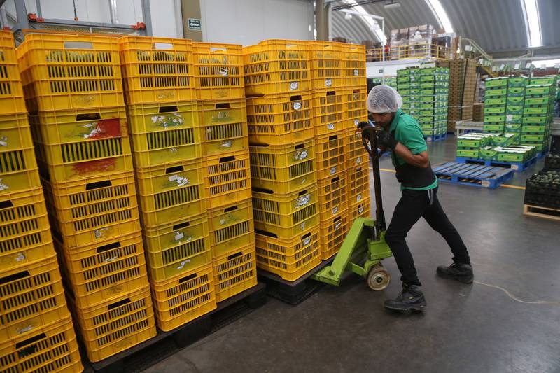 Por: Cortesía Exportaciones mexicanas alcanzan en noviembre su mayor alza en más de un año