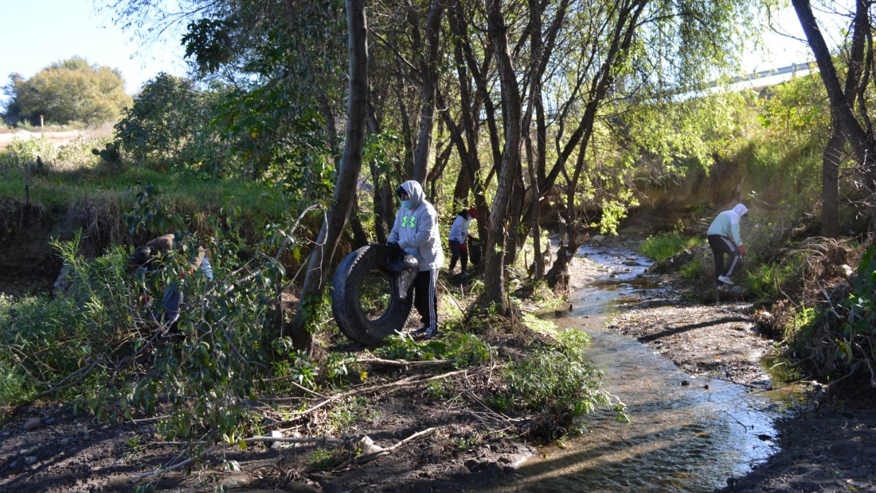 Por: Cortesía SMA atendió problemas ambientales en 2021