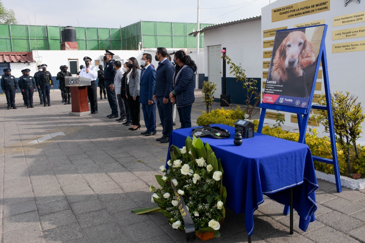 Por: Cortesía Realizan ceremonia de despedida a ejemplar canino especializado en detección de drogas