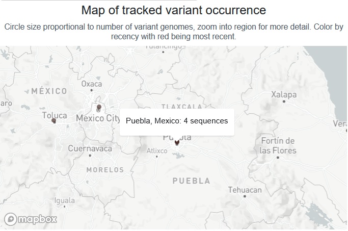 Confirman cuatro casos de la variante ómicron en Puebla