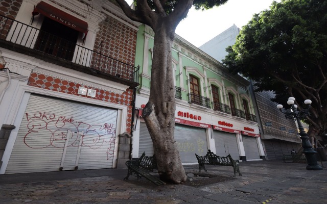 Secretaría de Economía buscará impulsar la reactivación económica a través de créditos a empresas