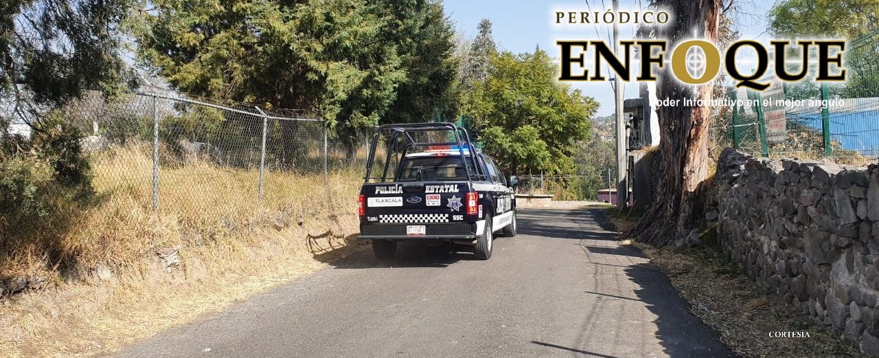 Foto: Cortesía Leona ataca a su cuidadora en el Zoológico del Altiplano.