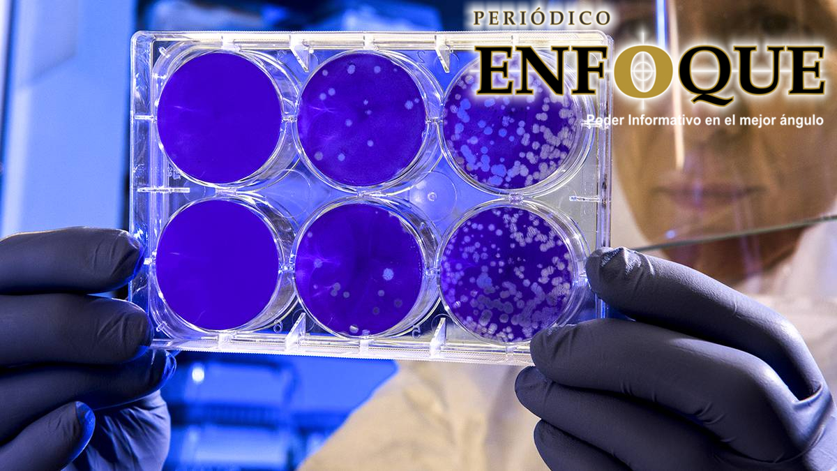 Foto: Cortesía ¿Qué hace tan Contagiosa la nueva Cepa de Coronavirus?