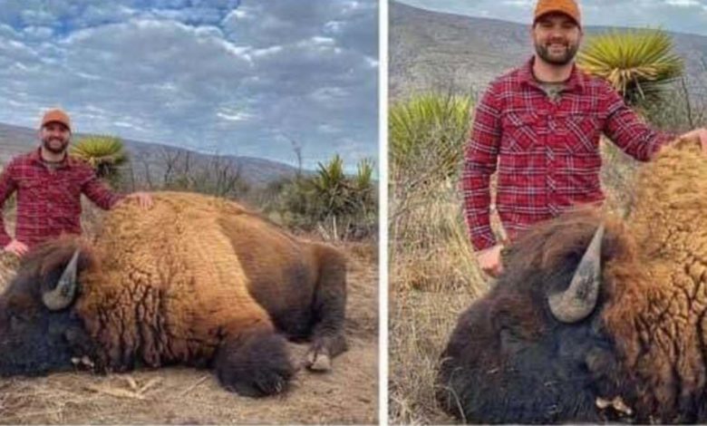 Foto: Cortesía Fake News: Cacería de bisontes en Coahuila es mentira, fue un montaje, dice CONANP