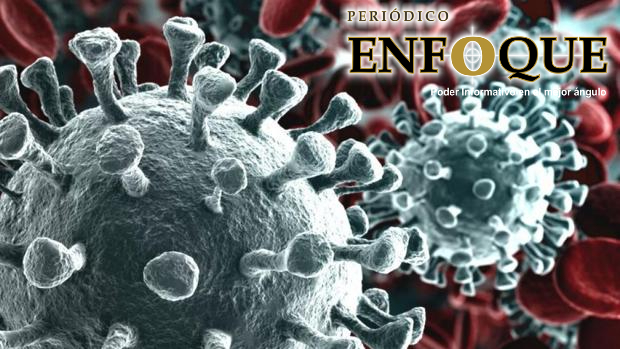 Foto: Cortesía Detectaron la nueva cepa británica de COVID en Argentina.