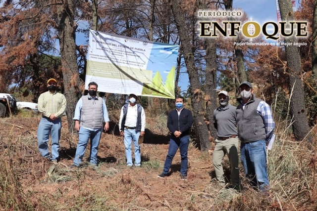 Foto: Especial Inician rescate del cerro Zapotecas de Cholula con plantación de 33 mil árboles