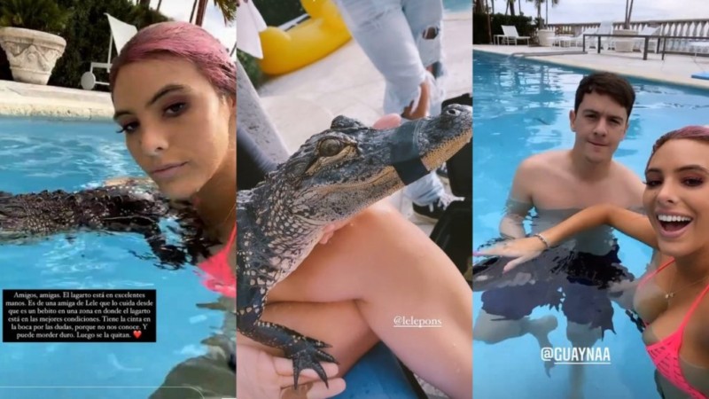 Foto: Cortesía Critican a Lele Pons por nadar con cocodrilo amarrado, la acusan de maltrato animal