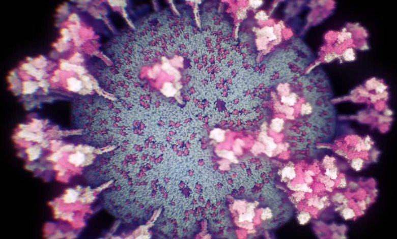 Foto: Cortesía ¿Cómo se ve realmente el coronavirus? (Video)