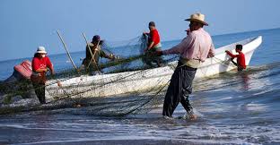 Foto: Cortesía Prevén alza de 15.52% de producción pesquera y acuícola nacional