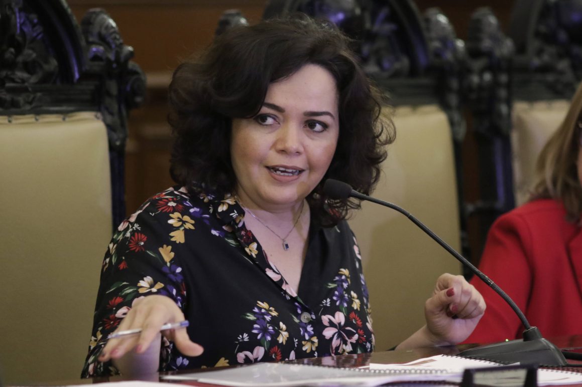 Liza Aceves en fase de recuperación tras contagiarse Covid-19; anuncia pronto retomará actividades