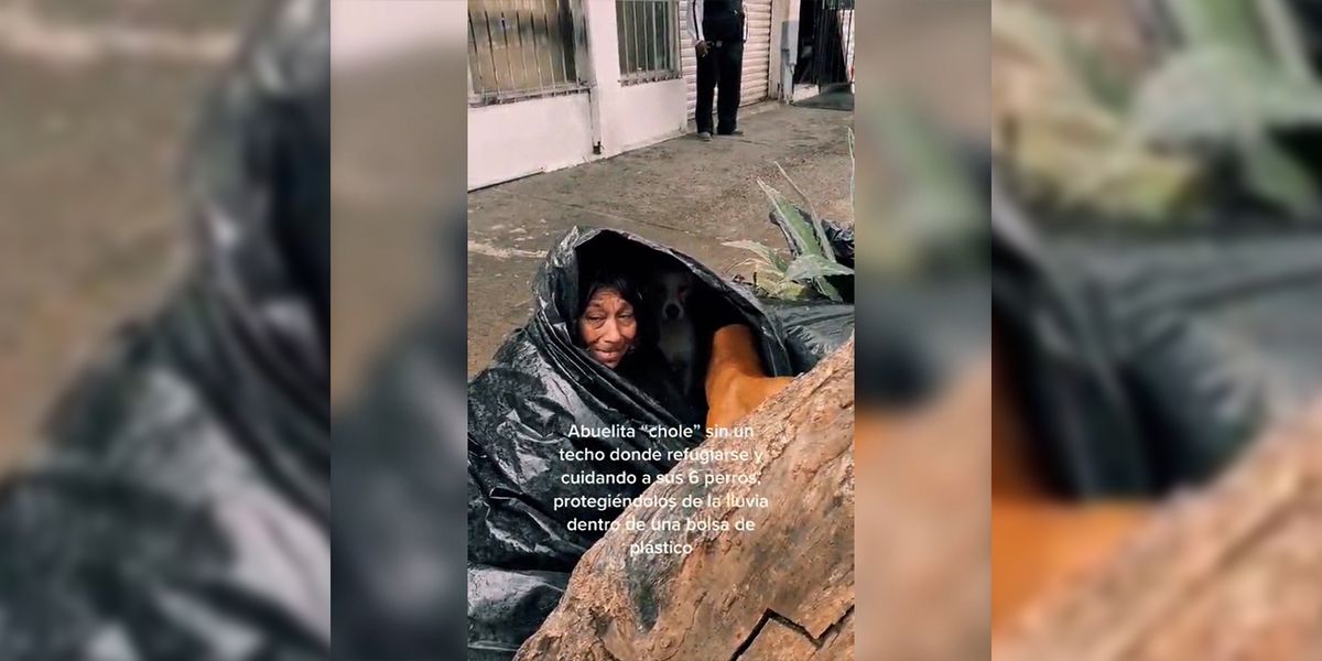 Foto: Cortesía Soledad prefiere dormir en la calle a separarse de sus perros en Tijuana