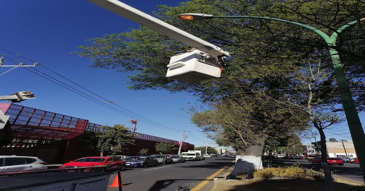 Foto: Cortesía Efectúan trabajos de mantenimiento y reparación de luminarias en la capital