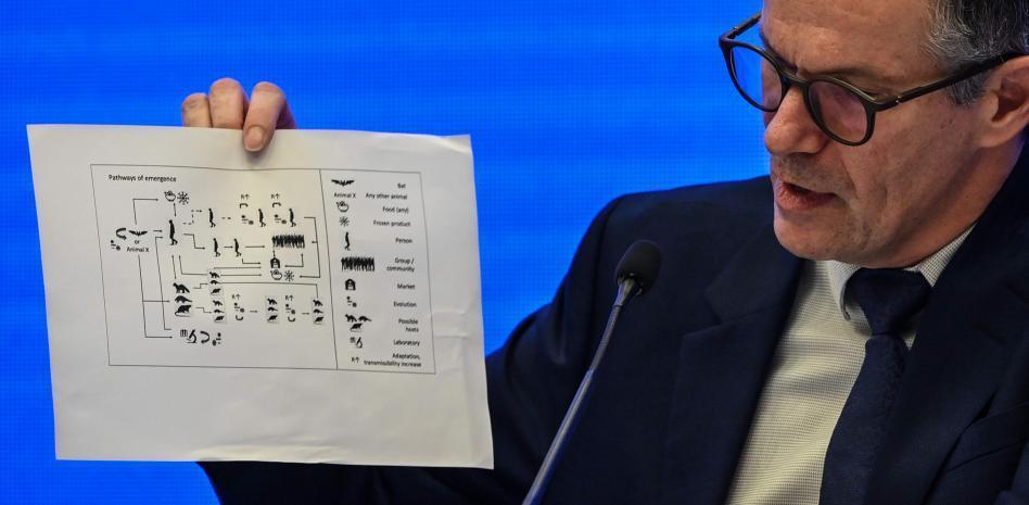 Foto: Cortesía Equipo de la OMS que investiga el origen del SARS-CoV-2 descarta que el virus haya escapado de laboratorio