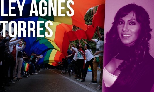 Foto: Cortesía IDHIE de la IBERO Puebla pide a diputados a prueben Ley Agnes