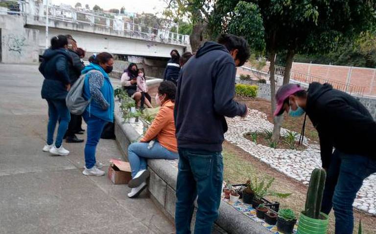 Por: Cortesía Intercambio de plantas en Tlaxcala