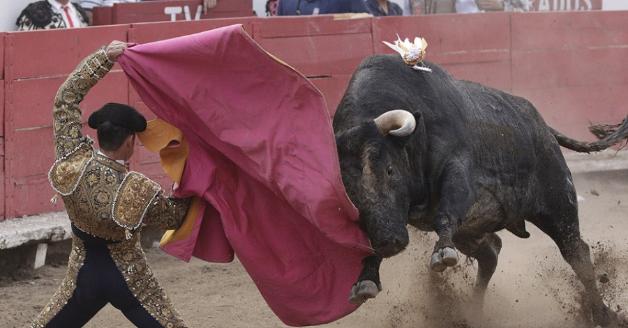 Desechan regidores iniciativa para prohibir la tauromaquia en Puebla